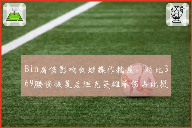 Bin肩伤影响剑姬操作精度，对比369腰伤恢复后坦克英雄承伤占比提升12%