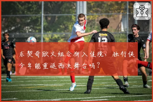 东契奇欧文组合渐入佳境，独行侠今年能重返西决舞台吗？